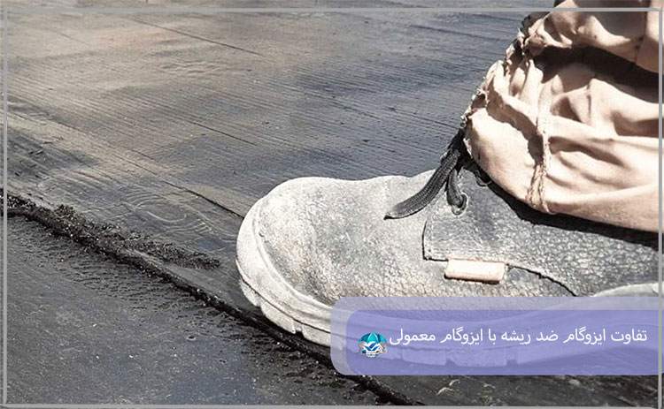 تفاوت ایزوگام ضد ریشه با ایزوگام معمولی